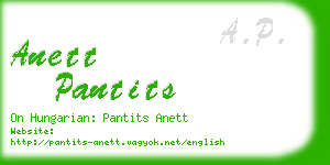 anett pantits business card